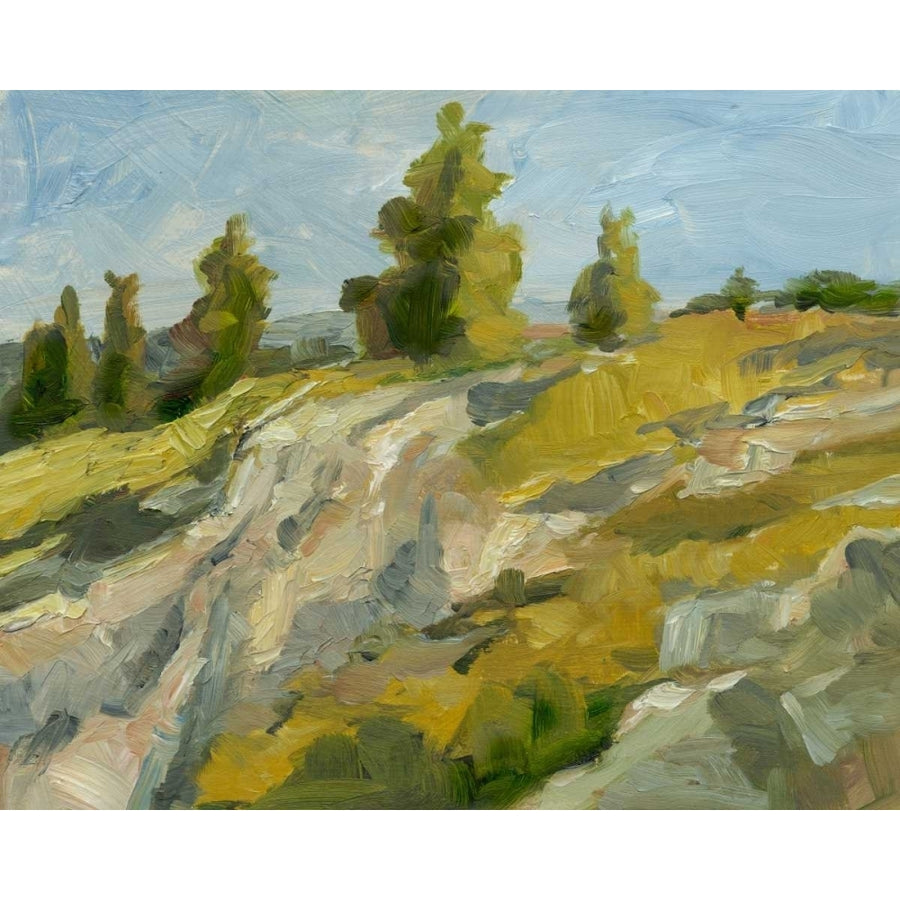 Impasto Mountainside II Poster Print - Ethan Harper-VARPDX93002Z Image 1