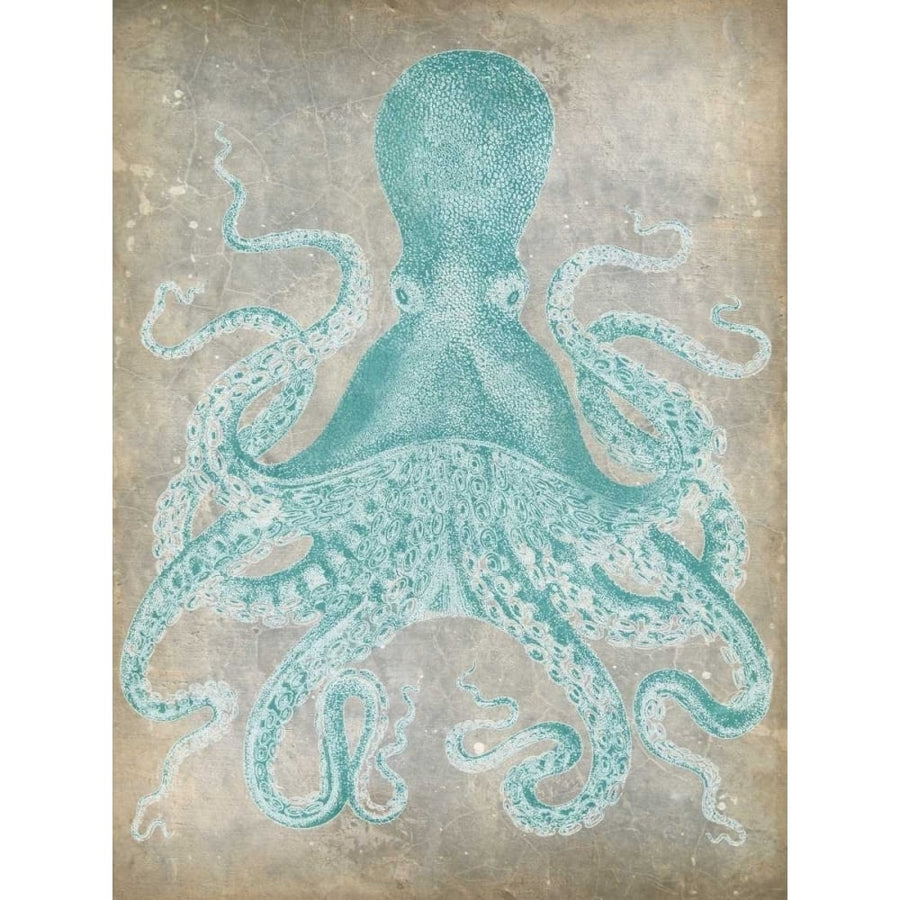 Spa Octopus I Poster Print - Jennifer Goldberger-VARPDX93049Z Image 1