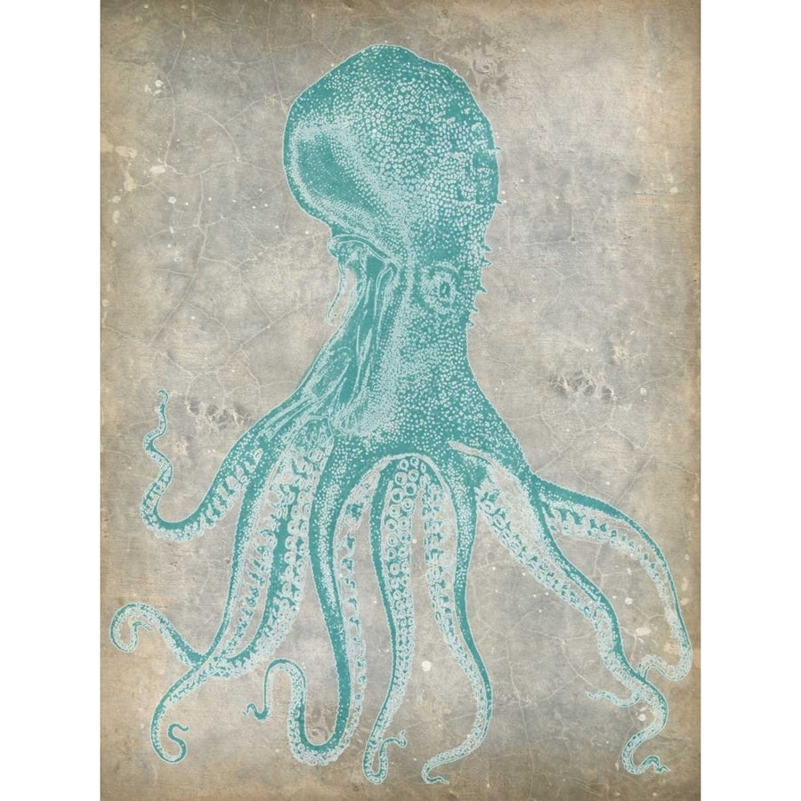 Spa Octopus II Poster Print - Jennifer Goldberger-VARPDX93050Z Image 1