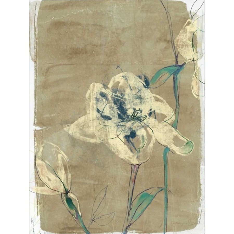 Floral Vignette II Poster Print - Jennifer Goldberger-VARPDX93054FNL Image 1