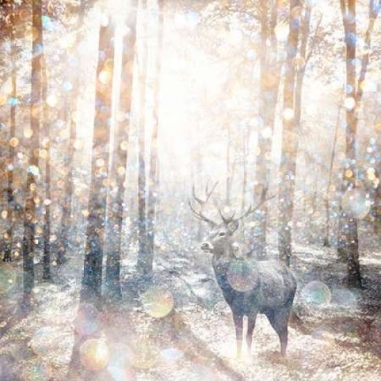 Mystical Forest 2 Poster Print by Beau Jakobs-VARPDX930JAK1003 Image 1