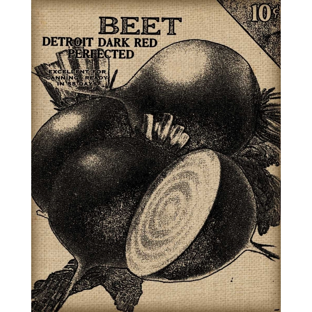 Vintage Seed Pack III Poster Print - Studio Vision-VARPDX93092Z Image 1