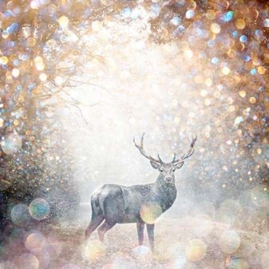 Mystical Forest 1 Poster Print by Beau Jakobs-VARPDX930JAK1002 Image 1