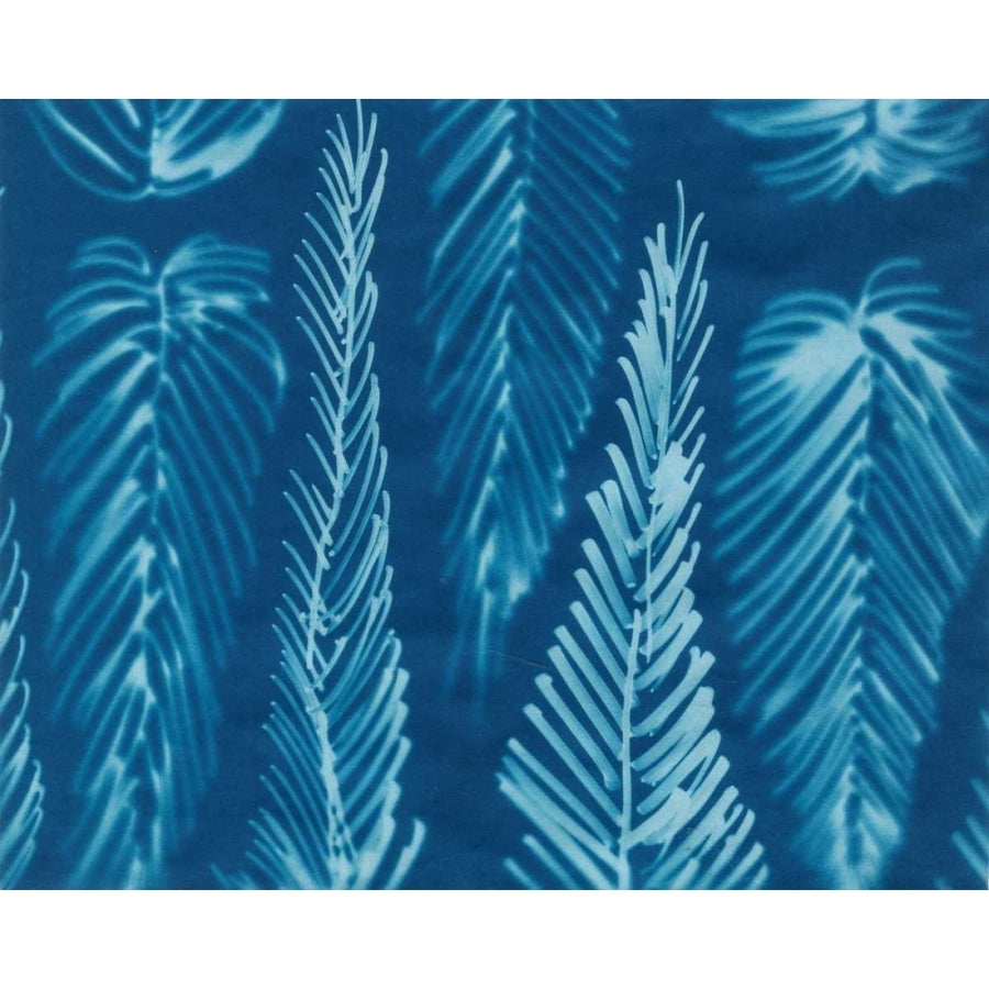 Cyanotype No.8 Poster Print - Renee W. Stramel-VARPDX93324Z Image 1