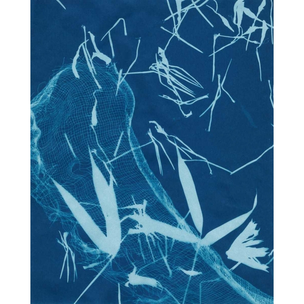 Cyanotype No.5 Poster Print - Renee W. Stramel-VARPDX93321Z Image 1