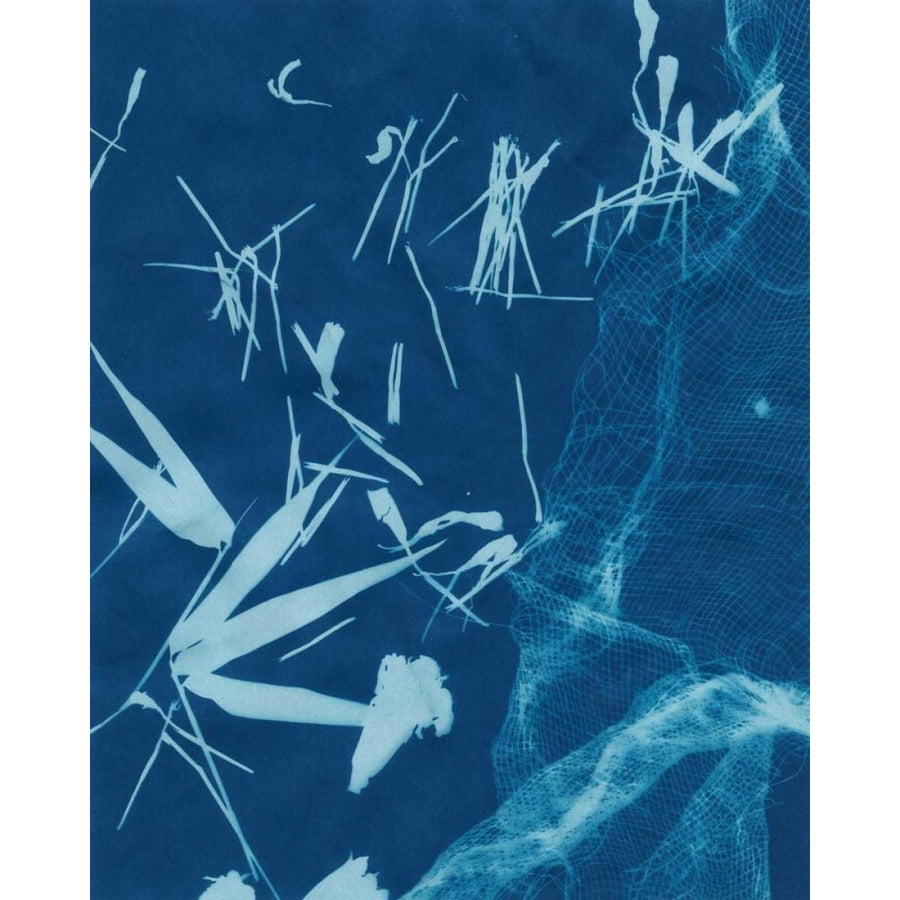 Cyanotype No.6 Poster Print - Renee W. Stramel-VARPDX93322Z Image 1