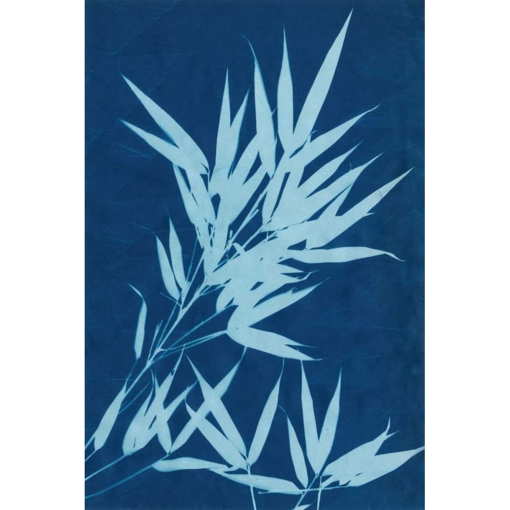 Cyanotype No.1 Poster Print - Renee W. Stramel-VARPDX93317Z Image 1