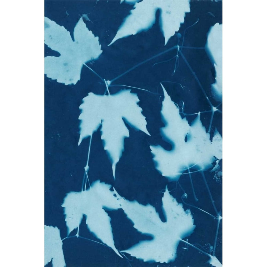 Cyanotype No.10 Poster Print - Renee W. Stramel-VARPDX93326Z Image 1