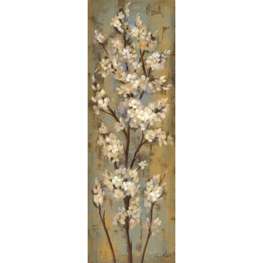 Almond Branch II Poster Print by Silvia Vassileva-VARPDX9338 Image 1