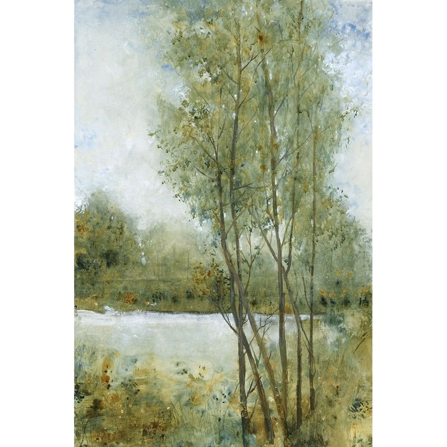 Early Spring I Poster Print - Tim OToole-VARPDX93394Z Image 1