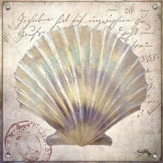 Beach Shell I Poster Print by Elizabeth Medley-VARPDX9339B Image 1