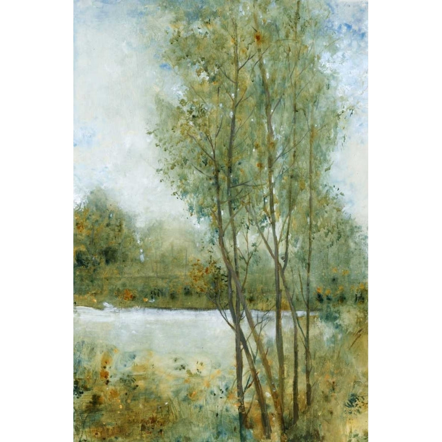 Early Spring I Poster Print - Tim OToole-VARPDX93394FN Image 1