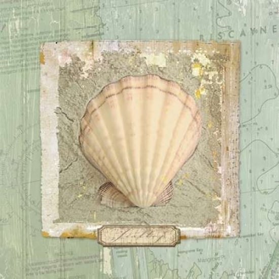 Seashore Collection II Poster Print by Elizabeth Medley-VARPDX9340D Image 1