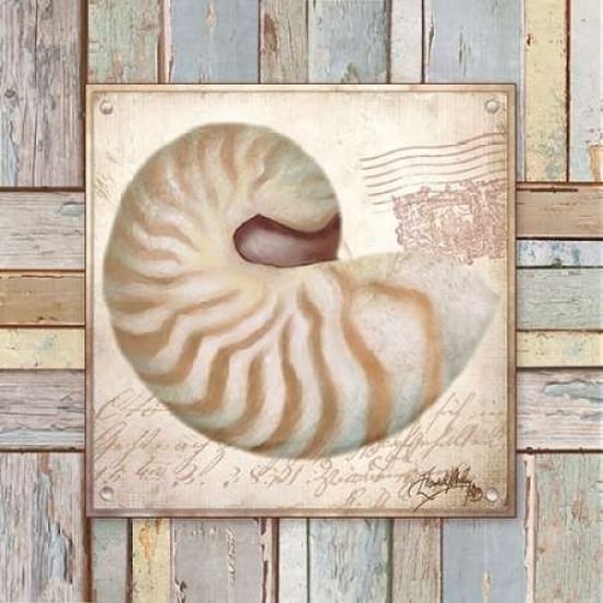 Beach Shell III Poster Print by Elizabeth Medley-VARPDX9341 Image 1