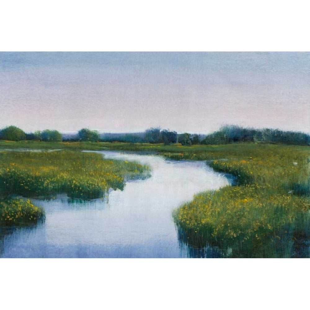 Marshlands I Poster Print - Tim OToole-VARPDX93521FN Image 1