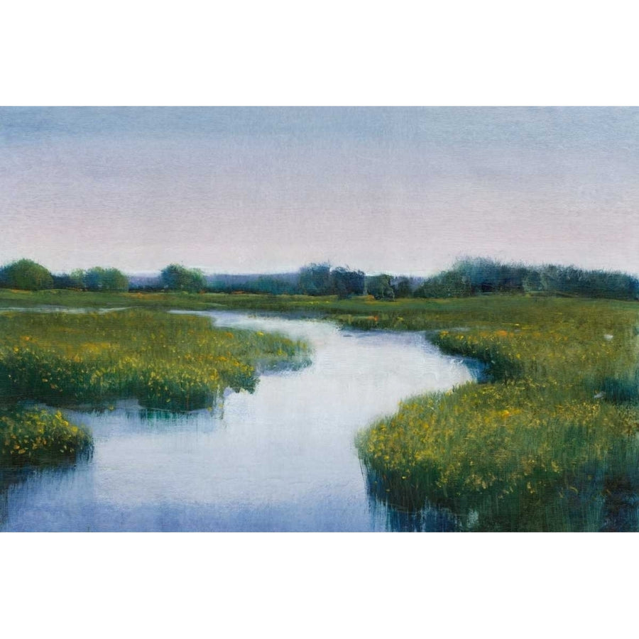 Marshlands I Poster Print - Tim OToole-VARPDX93521FN Image 1