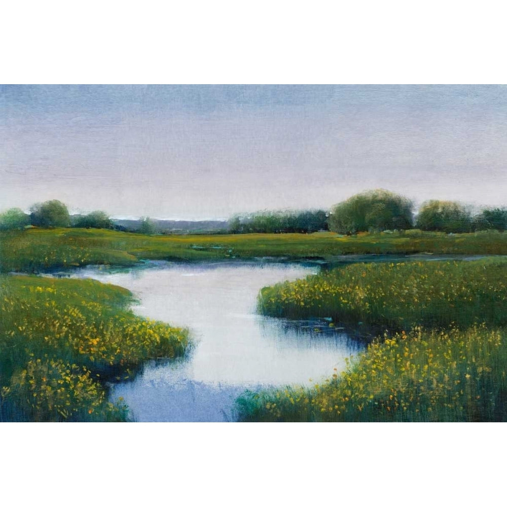 Marshlands II Poster Print - Tim OToole-VARPDX93522FN Image 1