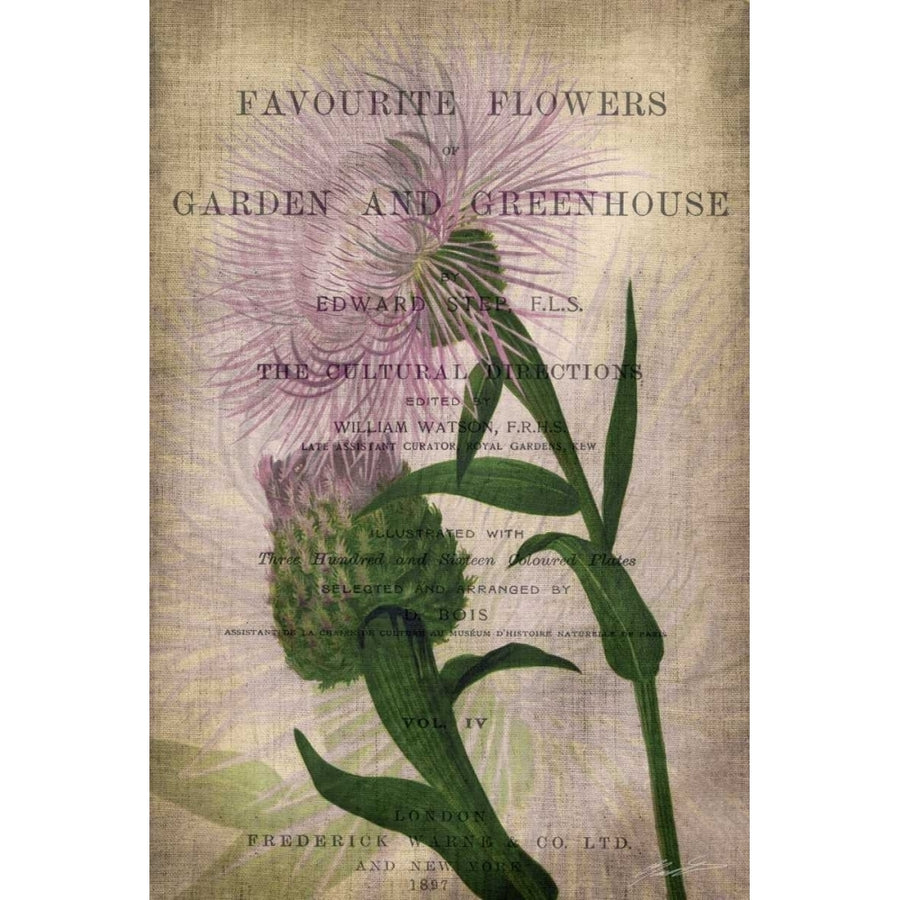 Favorite Flowers II Poster Print - John Butler-VARPDX93623Z Image 1