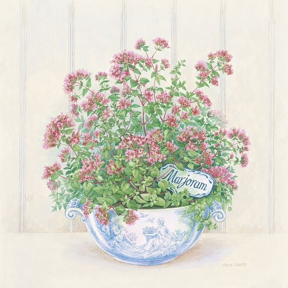 Marjoram Poster Print by Anne Searle-VARPDX9363 Image 1