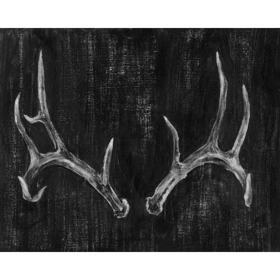 Rustic Antlers II Poster Print - Ethan Harper-VARPDX93750Z Image 1