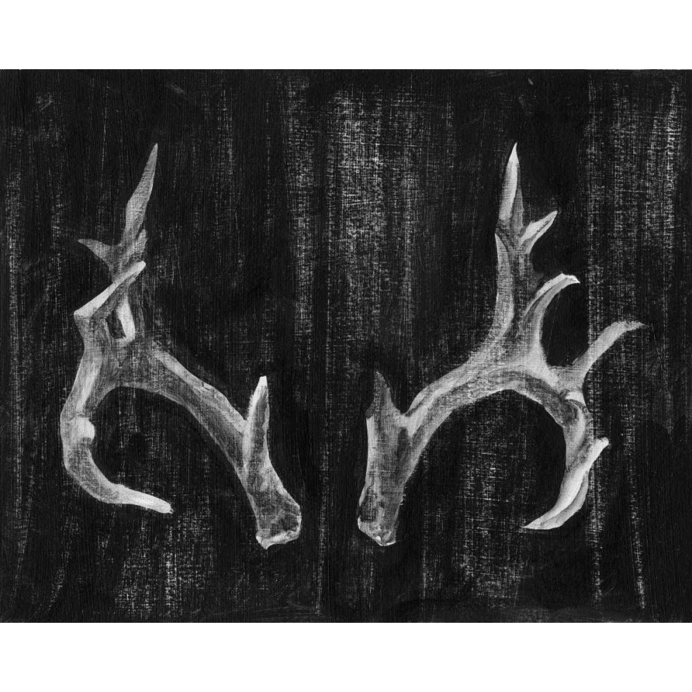 Rustic Antlers I Poster Print - Ethan Harper-VARPDX93749Z Image 1