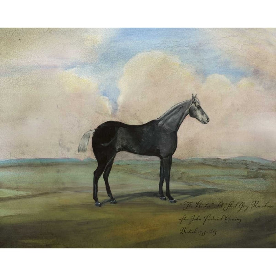 The Kicker- A Steel Grey Racehorse Poster Print - Naomi McCavitt-VARPDX93773Z Image 1