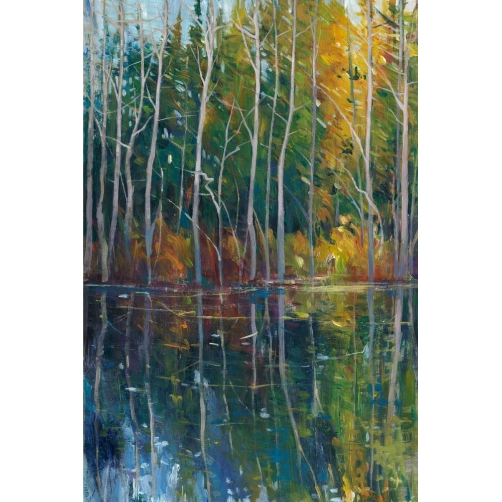 Pine Reflection II Poster Print - Tim OToole-VARPDX93790FN Image 1