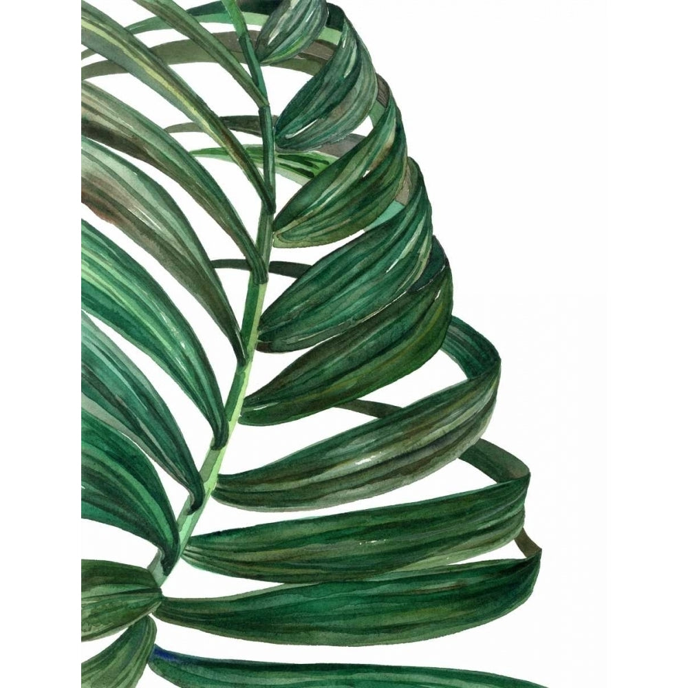 Tropical Breeze Palm 1 Poster Print by Jin Jing-VARPDX937JIN1142 Image 1