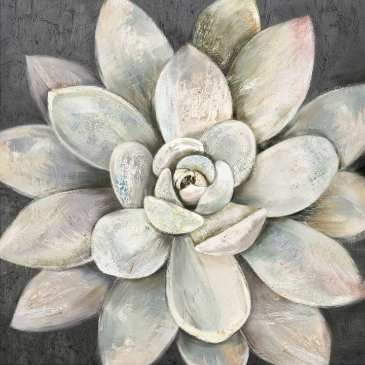 Silver Succulent Poster Print by Jin Jing-VARPDX937JIN1147 Image 1