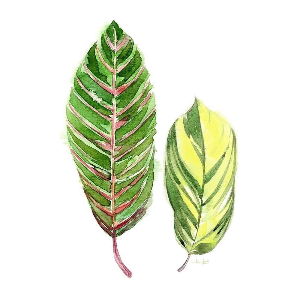 Tropical Variegated Leaf Poster Print by Jin Jing-VARPDX937JIN1151 Image 2