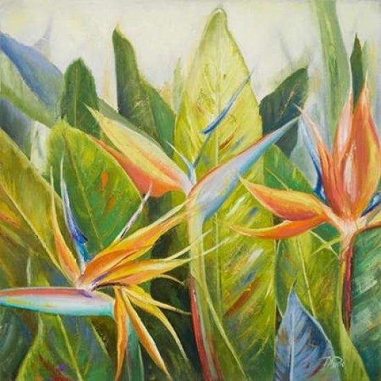 Bird of Paradise I Poster Print by Patricia Pinto-VARPDX9383 Image 1