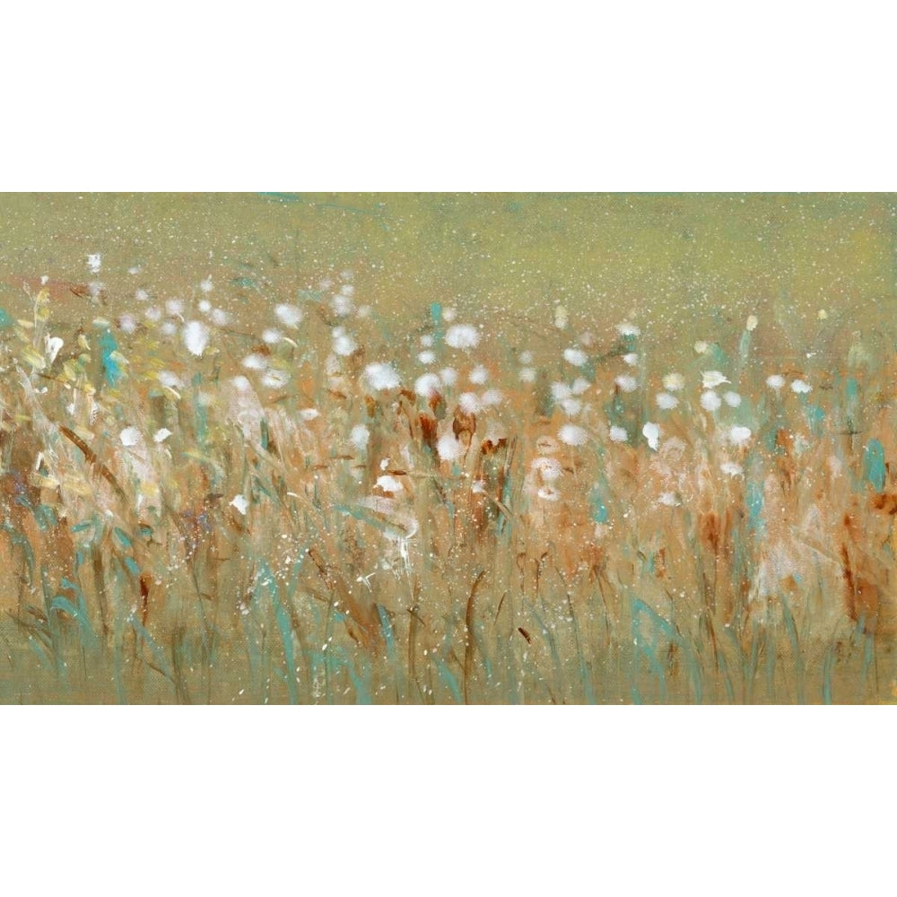 Meadow Blossoms I Poster Print - Tim OToole-VARPDX93861FN Image 1