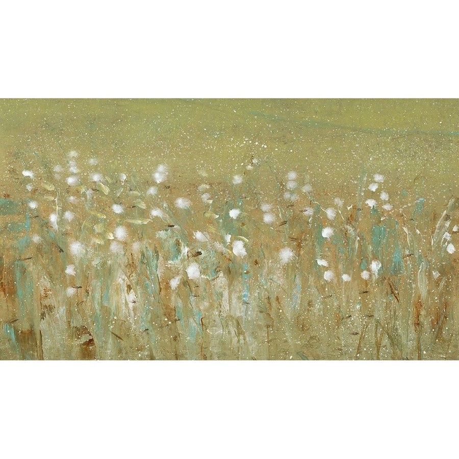 Meadow Blossoms II Poster Print - Tim OToole-VARPDX93862Z Image 1