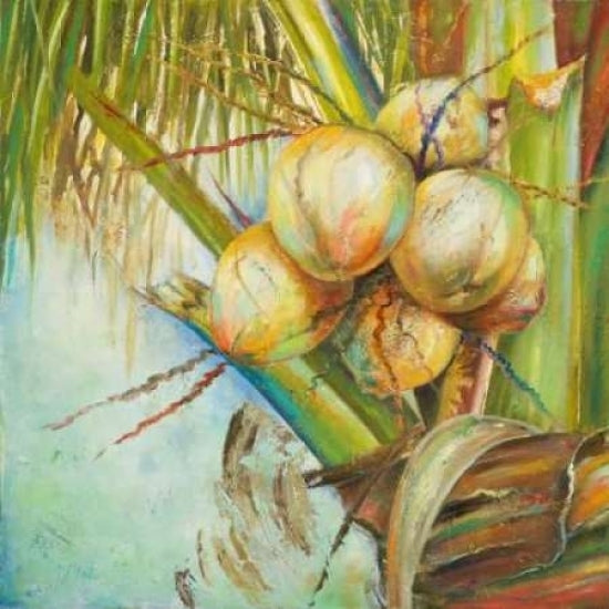 Patricias Coconuts II Poster Print by Patricia Pinto-VARPDX9386 Image 2