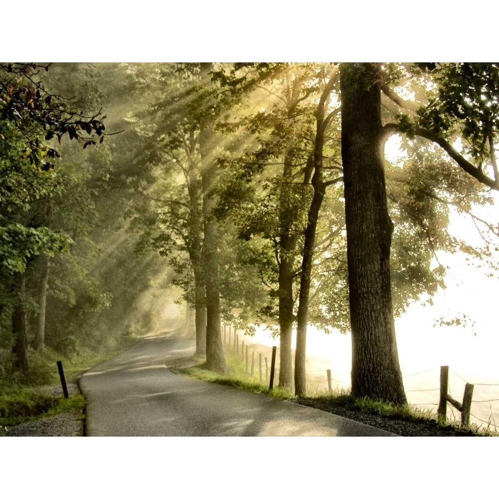 Fresh Morning II Poster Print - Danny Head-VARPDX93933Z Image 1