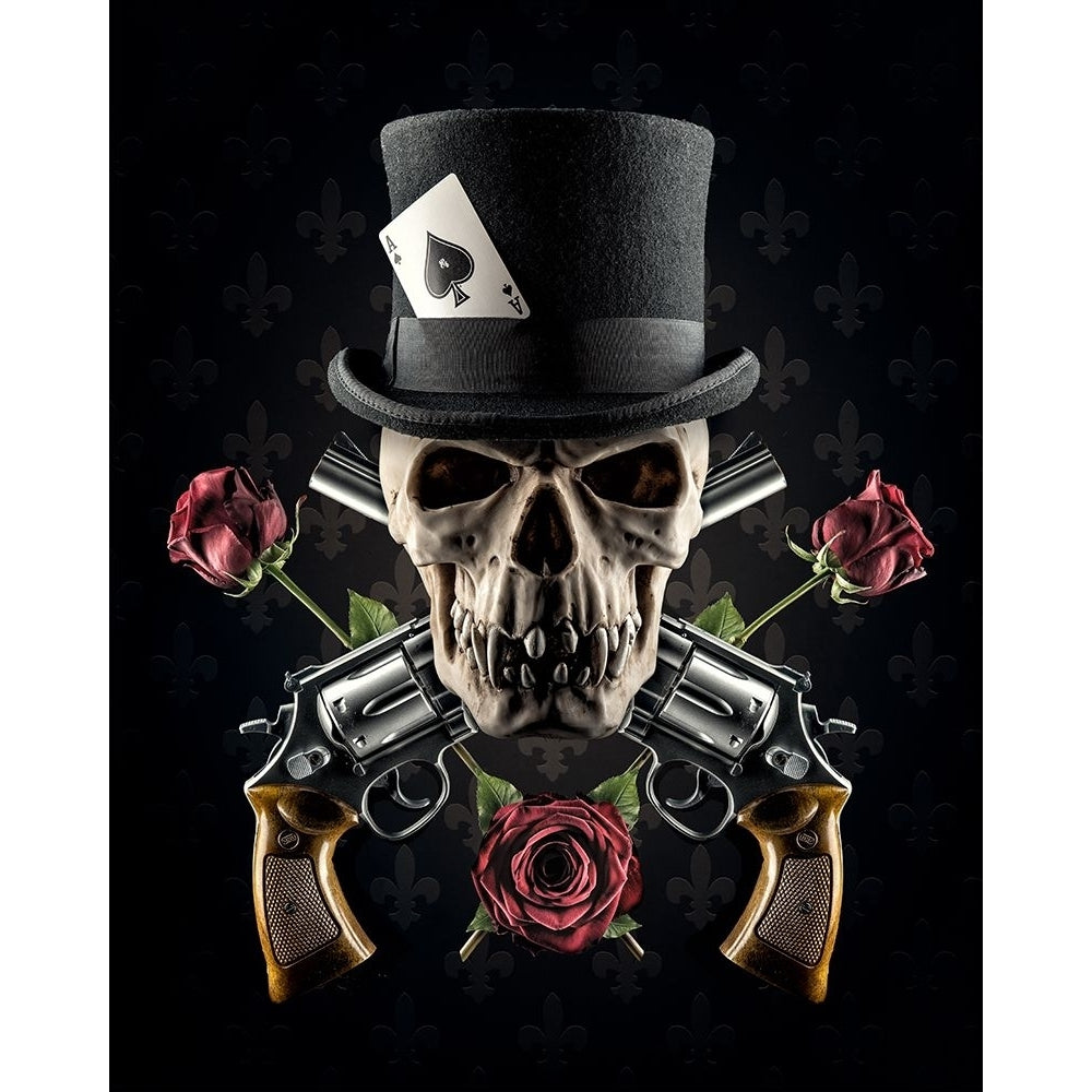 Guns And Roses Poster Print - Petri Damsten-VARPDX939296 Image 1