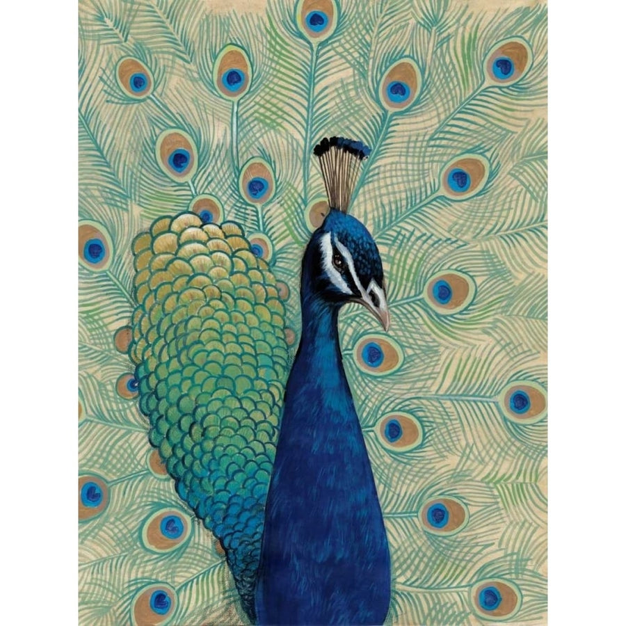 Blue Peacock I Poster Print - Tim OToole-VARPDX94107Z Image 1