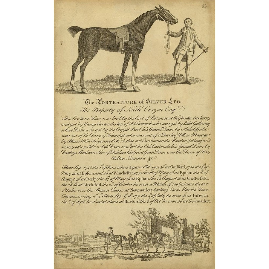 Horse Portraiture I Poster Print - Unknown-VARPDX94274Z Image 1