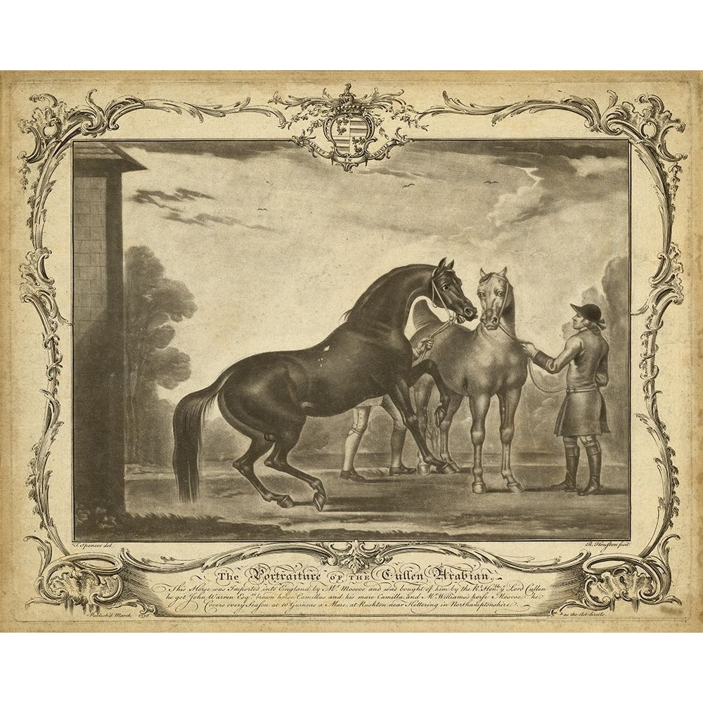 Distinguished Horses III Poster Print - Unknown-VARPDX94284Z Image 1