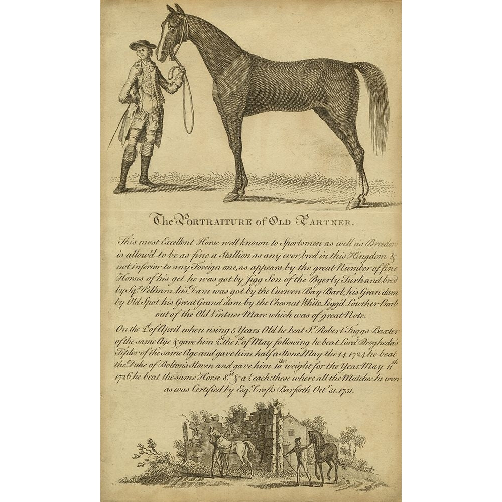 Horse Portraiture II Poster Print - Unknown-VARPDX94275Z Image 1