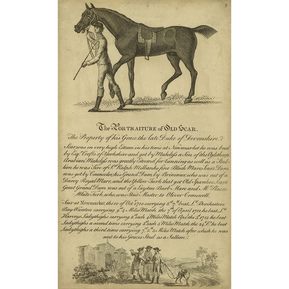 Horse Portraiture VIII Poster Print - Unknown-VARPDX94281Z Image 1