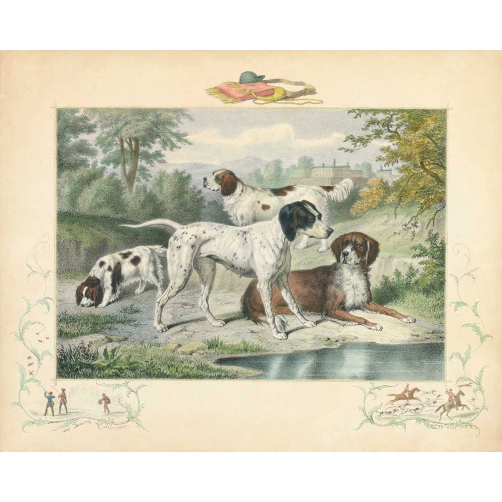 A Group of Spaniels Poster Print - Unknown-VARPDX94313Z Image 1