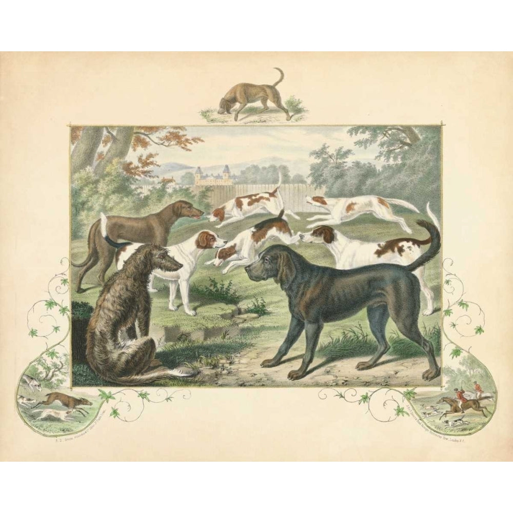 A Group of Hounds Poster Print - Unknown-VARPDX94312Z Image 1