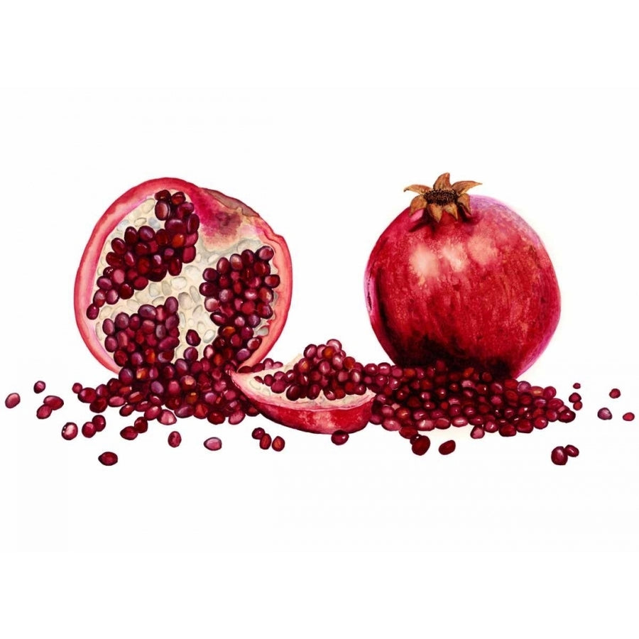 Watercolor Pomegranate Poster Print - Michael Willett-VARPDX94359F Image 1