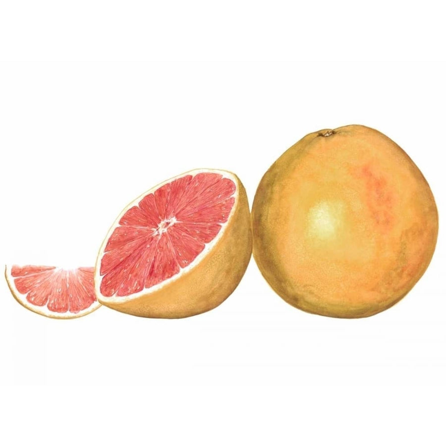 Watercolor Grapefruit Poster Print - Michael Willett-VARPDX94357F Image 1