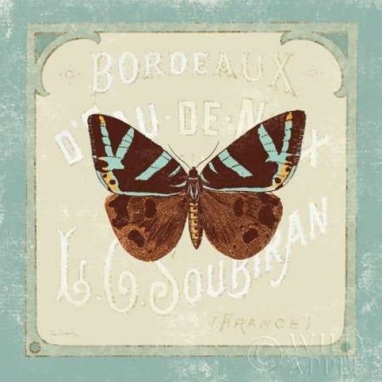 Parisian Butterfly II Poster Print by Sue Schlabach-VARPDX9436 Image 1