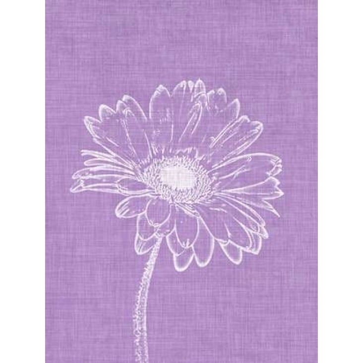 Purple Daisies I Poster Print by Gail Peck-VARPDX9449FF Image 1