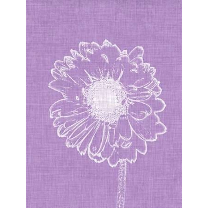 Purple Daisies II Poster Print by Gail Peck-VARPDX9450FF Image 1