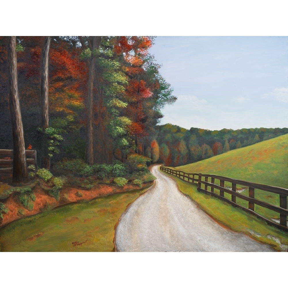 Country Road I Poster Print by Tiffany Hakimipour-VARPDX9546 Image 1