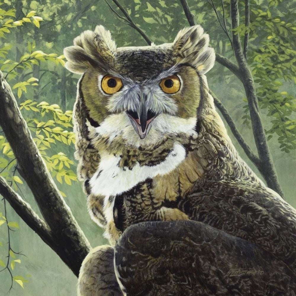 Great Horned Owl Poster Print - Fred Szatkowski-VARPDX96758D Image 1